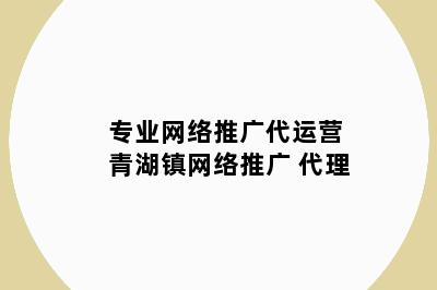 专业网络推广代运营 青湖镇网络推广 代理